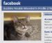 Pets do face time, too