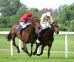 Horse race