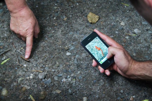 Digital Media Festival Photographing reptiles on a nature walk. VTD/Taylor Dobbs