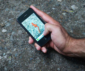Digital Media Festival Slider Photographing reptiles on a nature walk. VTD/Taylor Dobbs