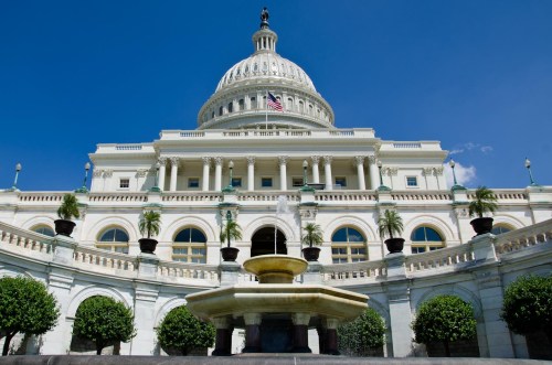 The U.S. Capitol The U.S. Capitol. VTD/Josh Larkin.