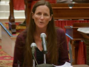 Mary Johnson, who owns a quilt shop in Stowe, defends microbusiness programs