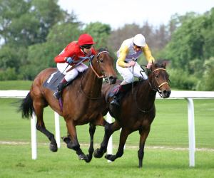Horse race