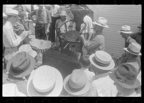 Auction Photo of an auction