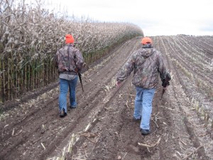 Hunters walk alongside a corn field in Derby Line.