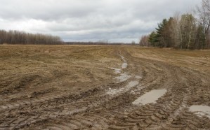 Lake Champlain Pollution Cornfield Main Rainwater on a bare cornfield on a farm near Mississquoi Bay.