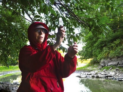 riversidebar2FULL Kathy Morse, Lemon Fair River coordinator for the Addison County Riverwatch Collaborative, holds up a water sample that will be sent to a state lab to test for E. coli. Photo by Andrea Warren for the Addison Independent