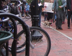 Church Street, Burlington. File Photo by Greg Guma.