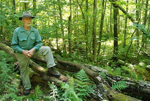Ray Toolan Morristown Town Forest Ray Toolan