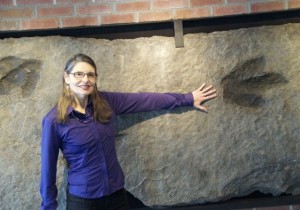 Robin Hopps, at the Perkin’s Museum of Geology at the University of Vermont, shows off the footprints of an unidentified dinosaur, marks embedded in now-polished rock. The footprints, known as trace fossils, were discovered in Central Massachusetts. Photo by Dirk Van Sustern
