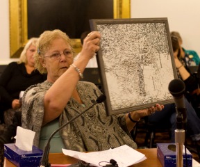 During a public hearing on a Taser use bill, Rhonda Taylor shows lawmakers a painting by her son Macadam Mason that he gave to her on Mother's Day the year before he died. Photo by Nat Rudarakanchana