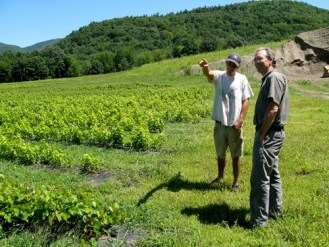 Andy Farmer (left) discusses his young wine grape vinestocks with Vermont Land Trust regional representative Donald Campbell. The Land Trust has been instrumental in getting young farmers established in the Mettowee Valley, one of the most scenic and productive farm regions of Vermont. Photo by Tom Slayton