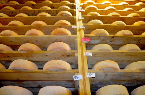 Wheels of clothbound Cabot cheddar are stacked nearly to the ceiling of a massive concrete aging cellar at Jaspar Hill Farms, where science and the cheesemaker's art are being innovatively combined to create award-winning cheeses. Photo by Andrew Nemethy