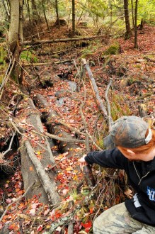 Pointing to a felled tree and his family had hoped to use as firewood, Luke Grout assesses a skidder bridge that was left in place over a stream on the property, potentially in violation of Vermont's Accepted Management Practices. Photo by Hilary Niles/VTDigger