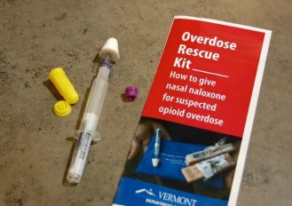 The state's naloxone treatment kit. Photo by Laura Krantz/VTDigger