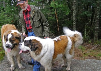 Larry French of Sunapee, New Hampshire, brought along his two St. Bernards. Combined weight: 309 pounds. Photo by M. Dickey Drysdale