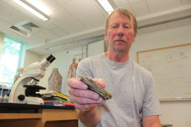 Plymouth State University biology professor Fred Prince holds a woolly mammoth tooth he discovered in a former gravel pit in Thornton, N.H., in April. About ten years ago, Prince found another while fishing in a remote Campton, N.H., stream. That tooth was tossed aside. Plymouth State University photograph
