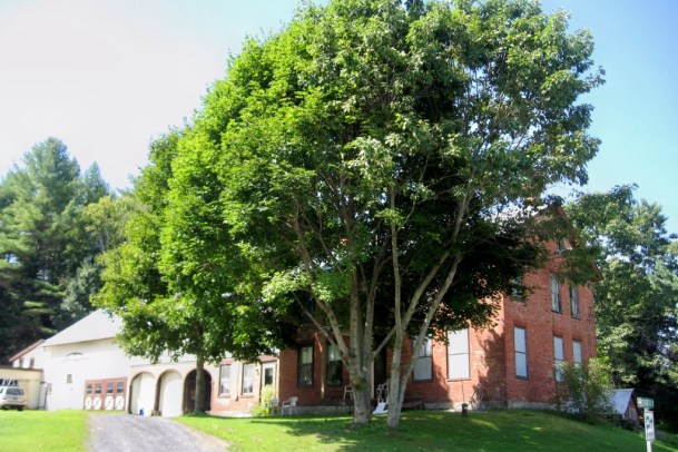 This rambling brick house in Plainfield has been home to five generations of the Batchelder-Dailey-Clark family. It always housed at least two generations of the family and sometimes housed three. "You can't hang on to things forever," says Keith Clark, who is cleaning out the house and barn before selling them, but it's hard to let go of something that has been central to his family for 135 years. Photo by Nancy Graff