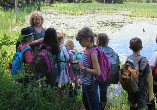 Joanna Waldman and her students at Zebedee Wetland. Courtesy photo