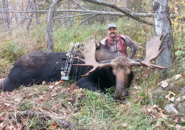A trophy moose is an impressive animal, such as this one taken this fall by Kevin Rice in Bloomfield. Moose were a staple of native Americans and colonists, valued for their ample supply of sustaining tasty meat.  They are still prized by hunters as well as wildlife watchers, but moose in the Northeast are facing new challenges from pests and a warming climate. Photo courtesy Cedric Alexander