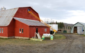Tangletown Farm in West Glover. Photo by Elizabeth Hewitt/for VTDigger