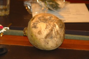 Gilfeather turnip