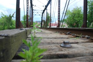 Weed crop up on a railroad bridge in Montpelier. Photo by Sam Heller/VTDigger