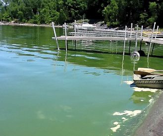 Lake Champlain algae bloom