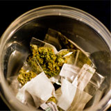 Medical marijuana. Photo by Troy Holden, www.troyholden.com