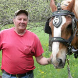 For over three decades Claude Desmarais has been laying line with draft horses like Fred. VTD/Eric Blokland