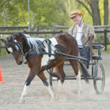 John Killacky. Photo courtesy of Best of Burlington.