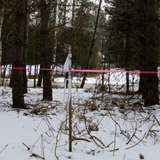 Caution tape and stakes mark the future location of Goddard College's new wood chip heating system along Route 214 in Plainfield. VTD/Josh Larkin