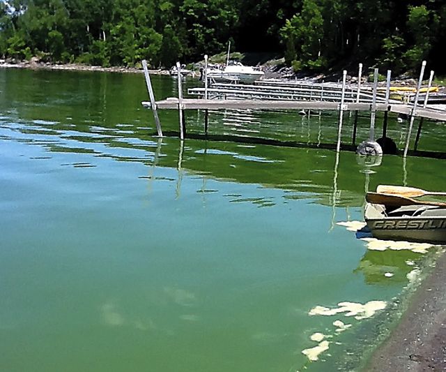 Lake Champlain algae bloom