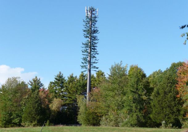 monopine cell tower