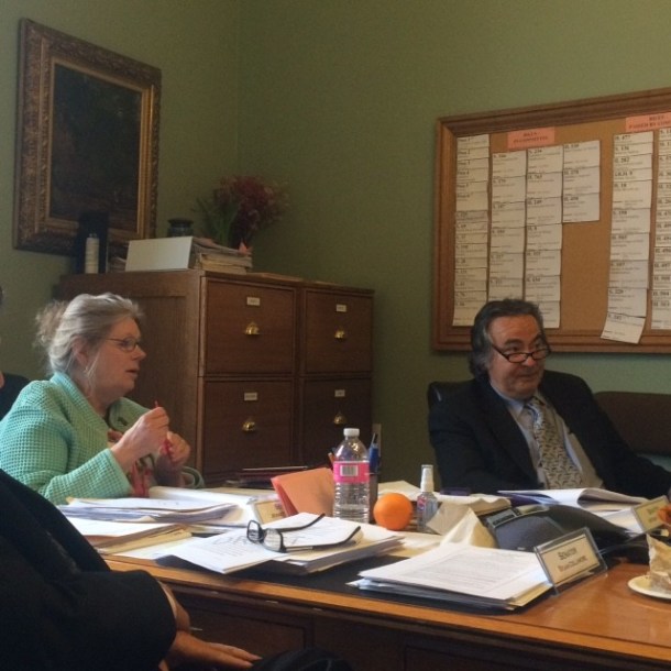Sen. Jeanette White and Sen. Anthony Pollina of the Senate Government Operations Committee. Photo by Mark Johnson/Vt Digger