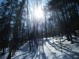 winter