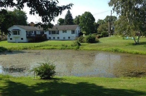 Piedmont Pond