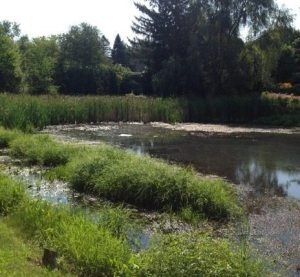 Piedmont Pond