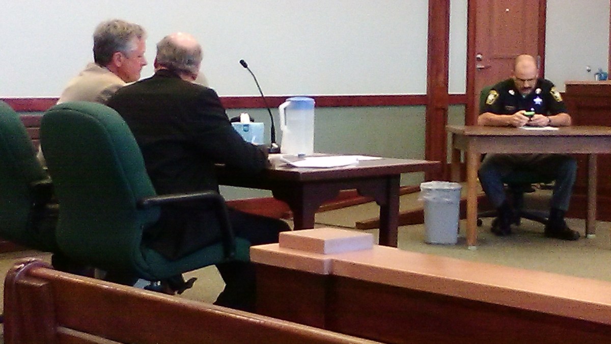 Plea deal ends manslaughter case involving escaped bull