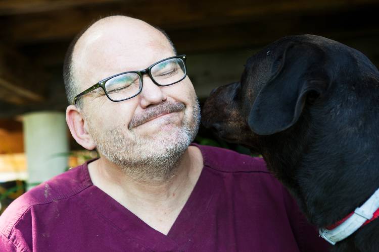 Missing dog back in Thetford