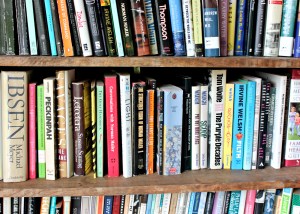 Zevon library bookcase