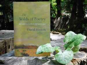 David Hinton