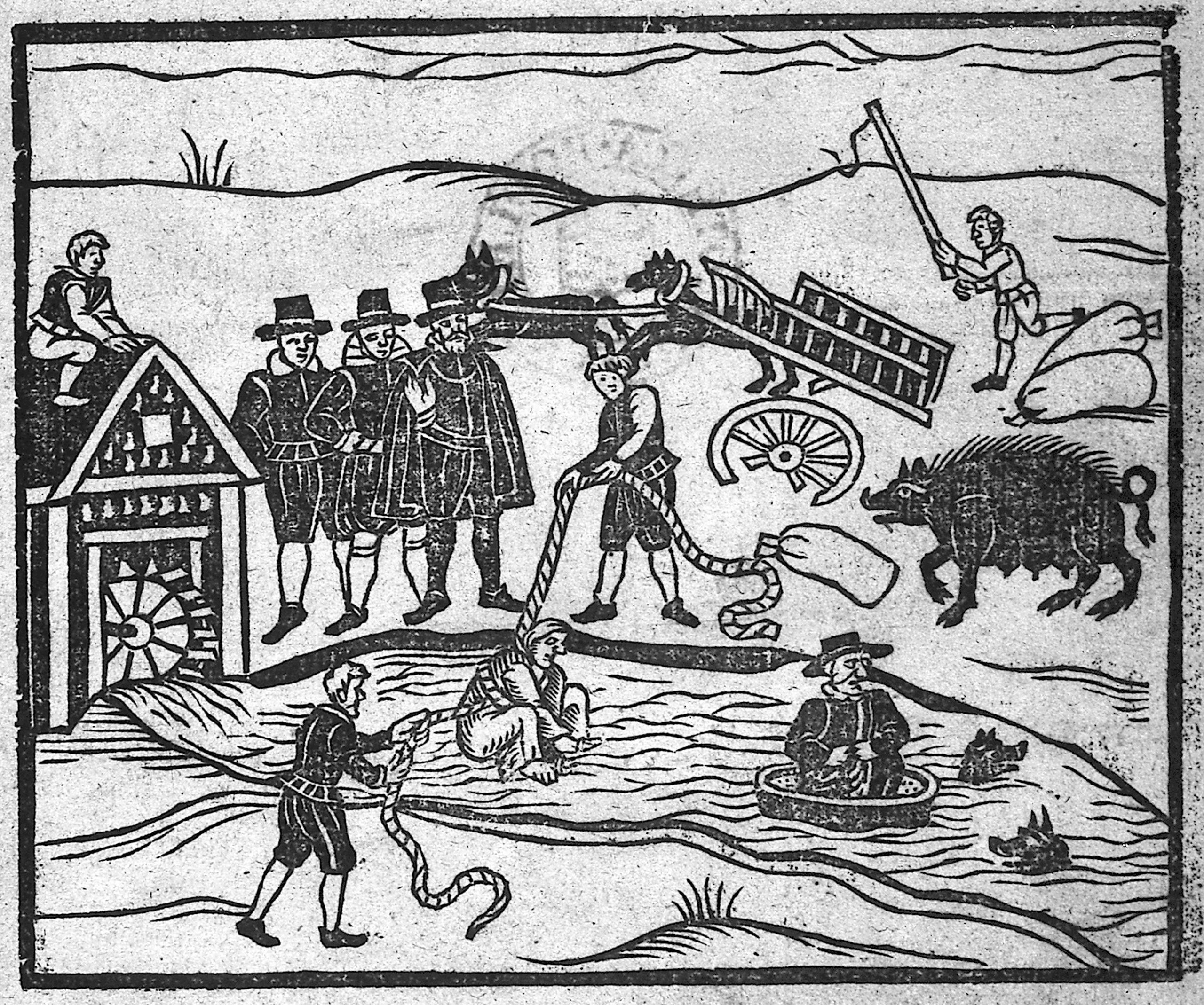 witches