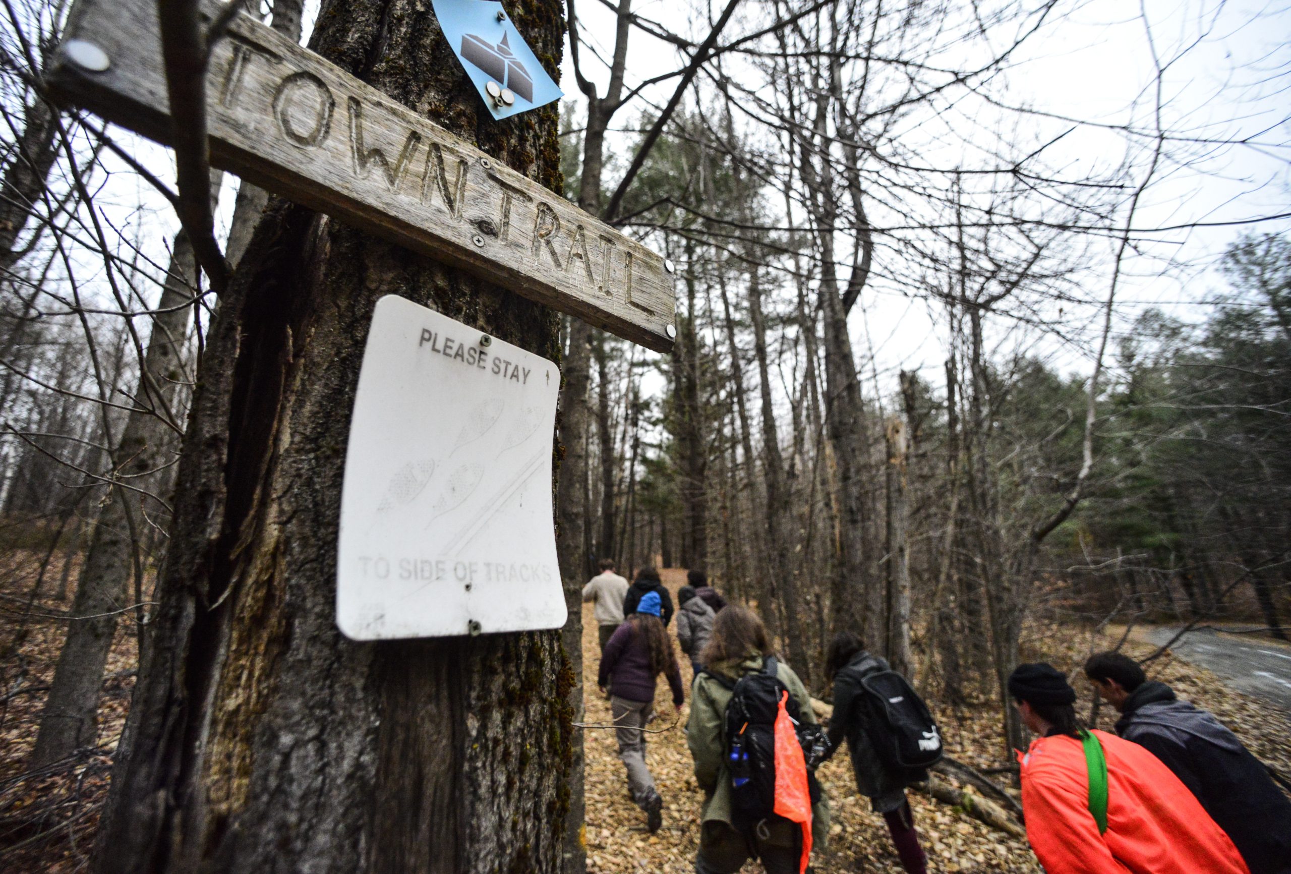 Marlboro College forest