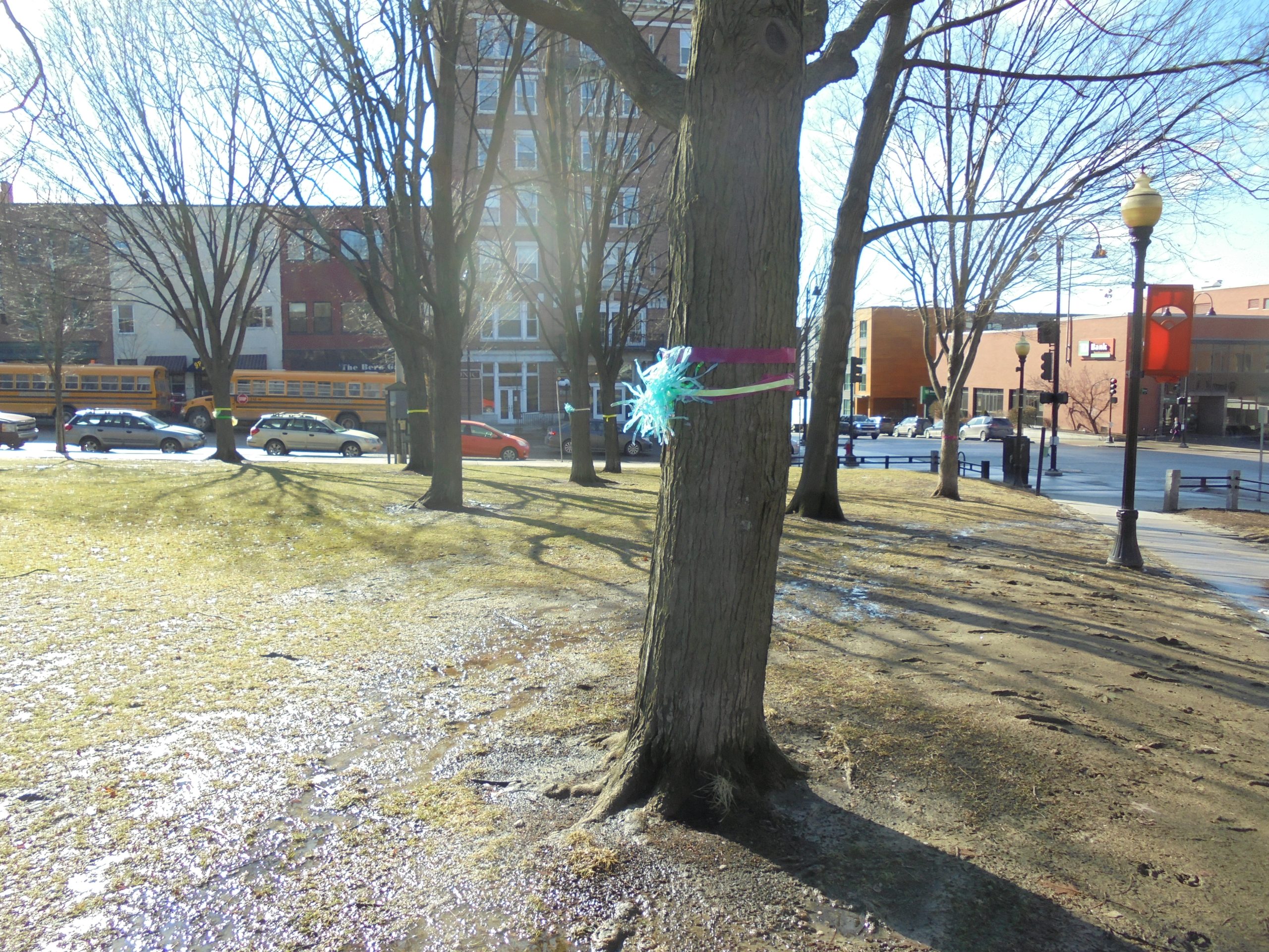 Burlington City Hall Park