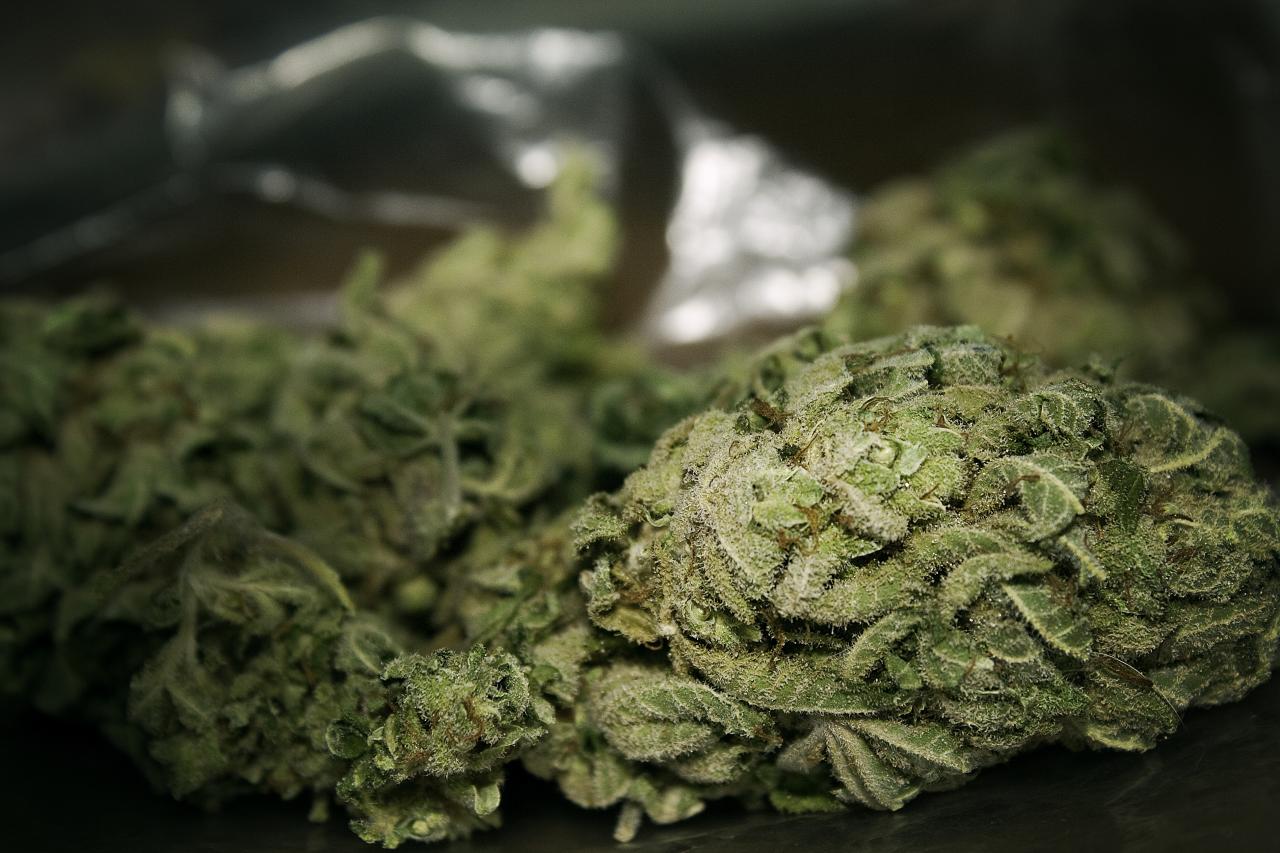 marijuana buds
