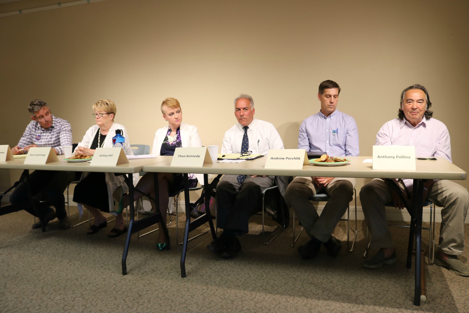Washington County Senate Candidates