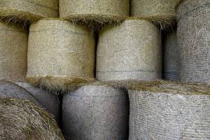 Round bales 