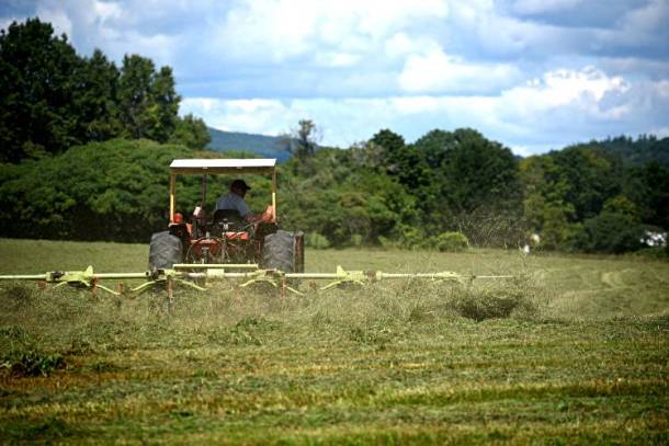 Gary Eastman teds second cut hay