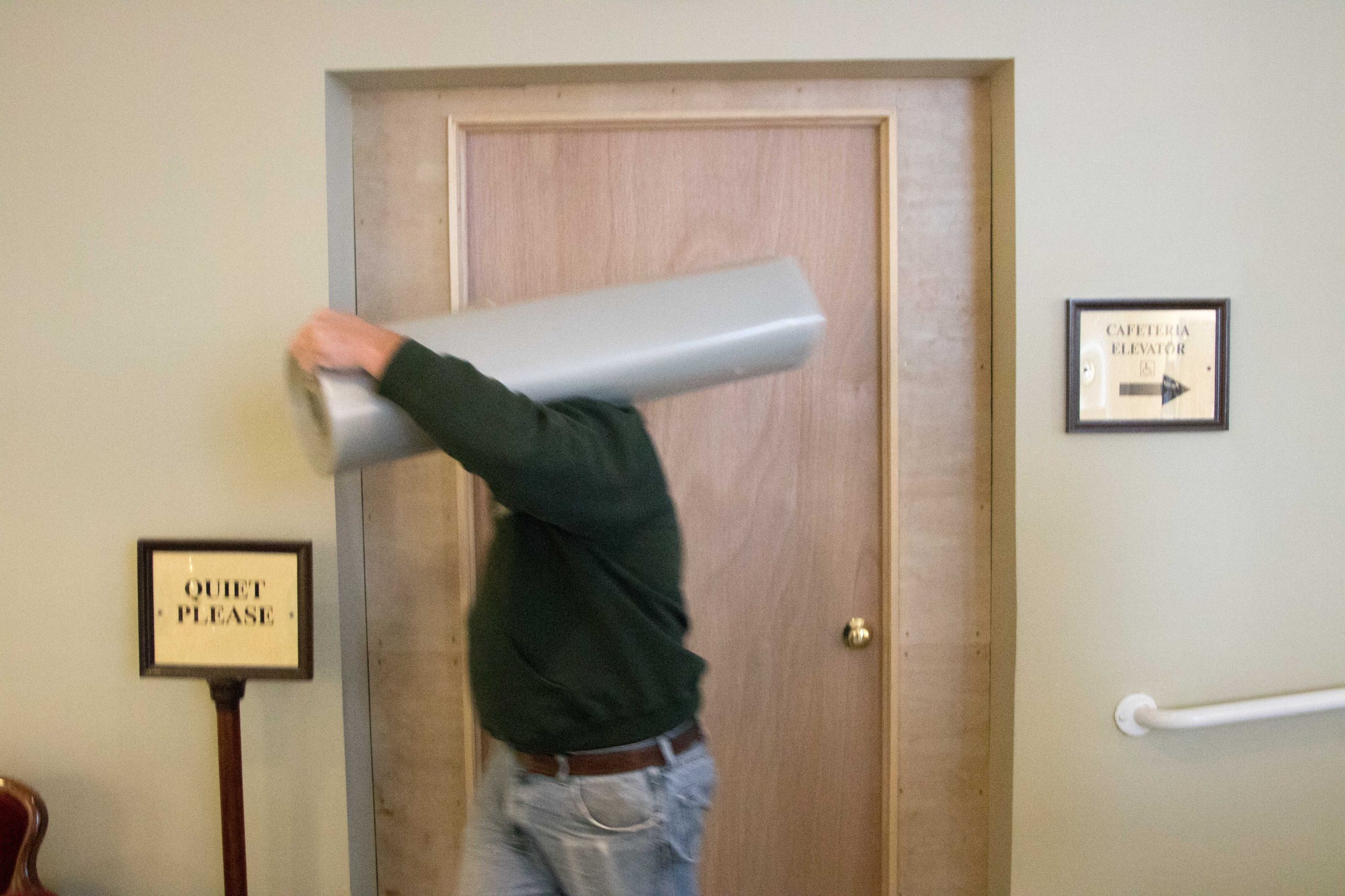 Statehouse mold remediation